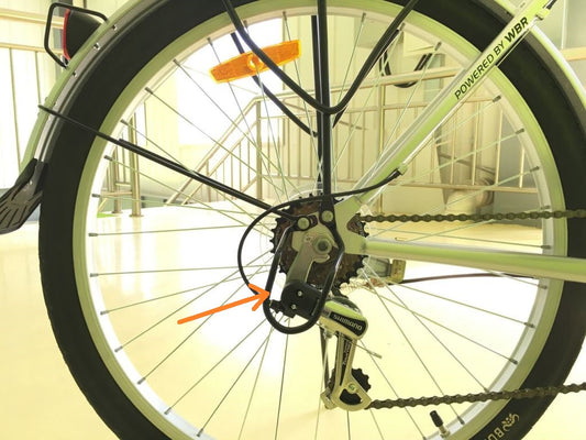 Derailleur guard